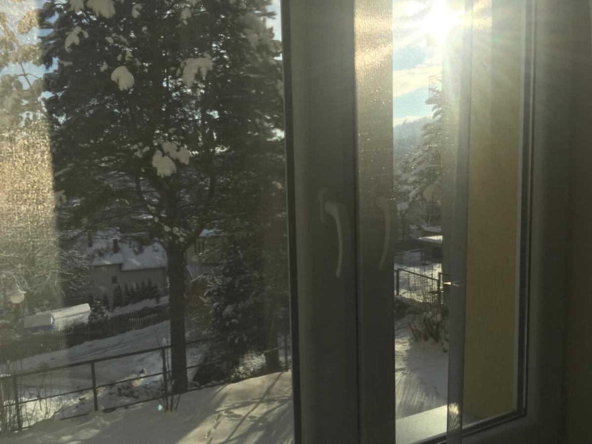 Mieszkanie "Panorama" Apartment กรินีซา ดรอยจ์ ภายนอก รูปภาพ